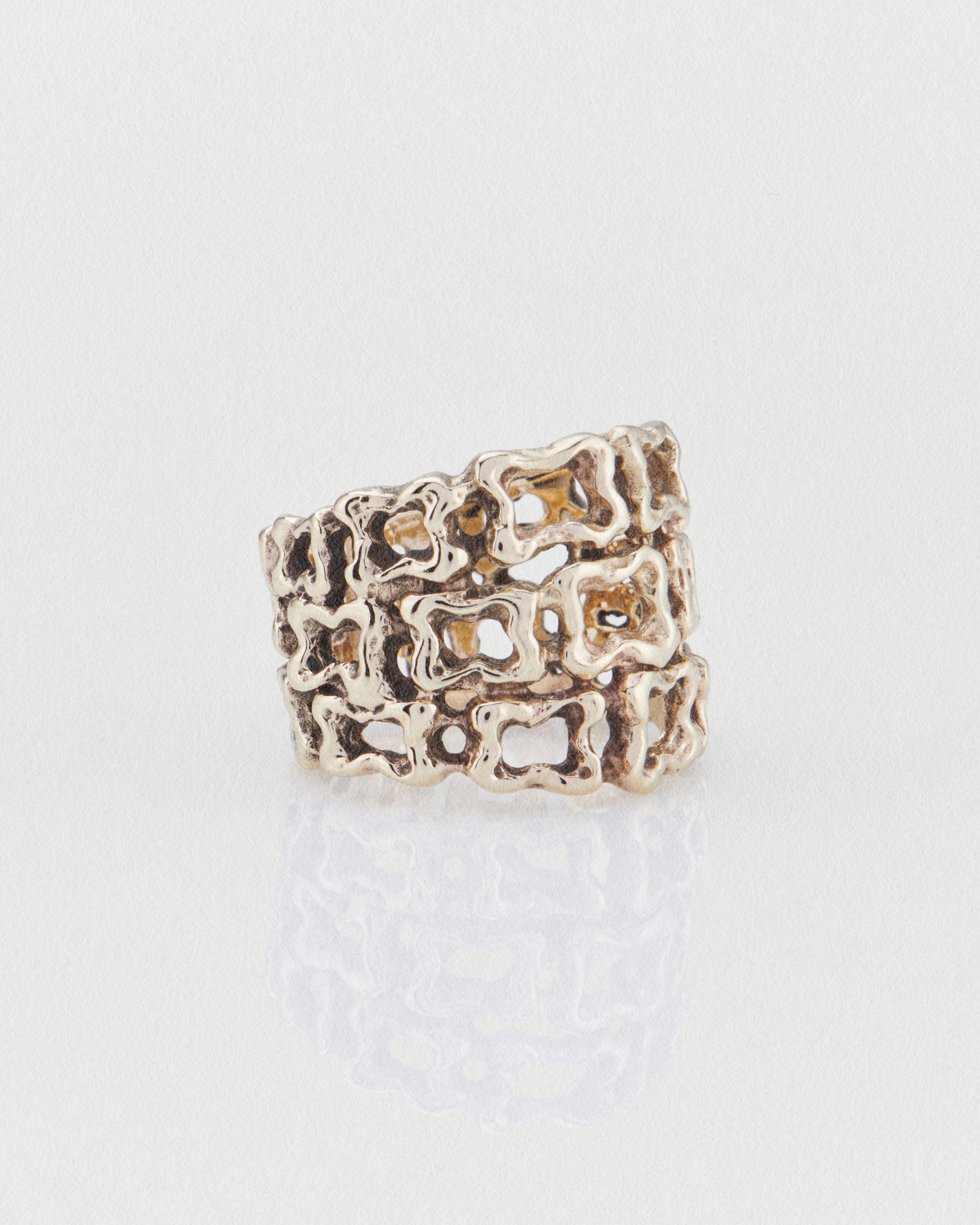 Anina Ring